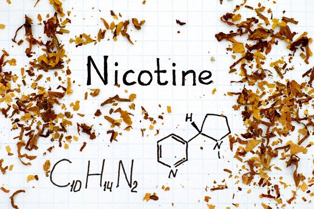 Vše, co jste chtěli vědět o nikotinu