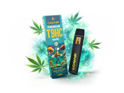 T9HC VAPE PEN CANAPUFF BALANCED 95% prichut
