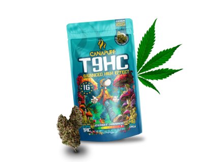 blnc 0639479f 3724 4f0c 81ca 55766cac2b9f