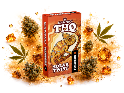 THQ KVĚTY CANNIO SOLAR TWIST