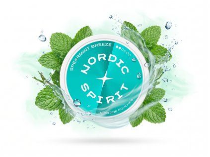 NORDIC SPIRIT SPEARMINT BREEZE REGULAR 8 mg GG