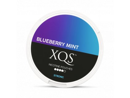 xqs blueberry mint Nicopods.cz
