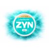 ZYN SPEARMINT MINI X LOW 1.5 MG prichut