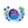 XQS BLUBERRY MINT prichut
