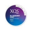 XQS BLUEBERRY MINT