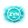 ZYN SPEARMINT MINI 6 MG prichut