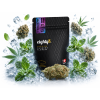 E8HIGH KVĚTY EIGHTY8 ANIMAL MINTS 30%