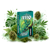 THQ KVĚTY CANNIO JUNGLE PULSE