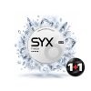 SYX Mockup Front Freeze 12mg prichut