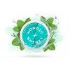 NORDIC SPIRIT SPEARMINT BREEZE REGULAR 8 mg GG